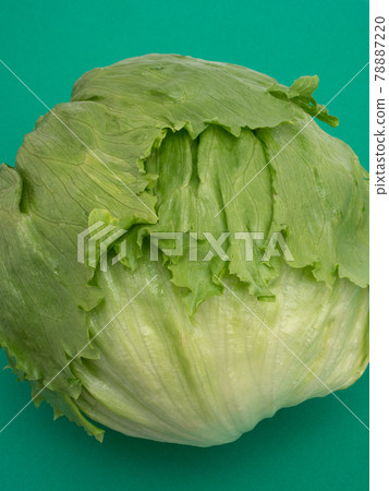 lettuce lettuce 78887220