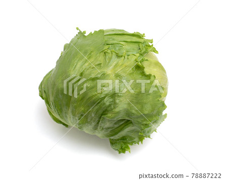 lettuce lettuce 78887222