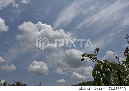 The white clouds of the sky. 78887233