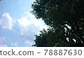 天空和綠色與浮雲 78887630