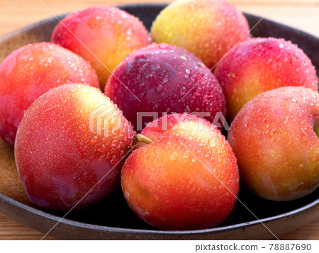 梅子隼大石 78887690