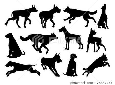 Dog Silhouettes Animal Set 78887735