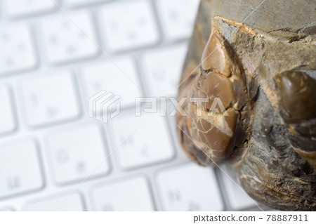 人工智能革命 78887911