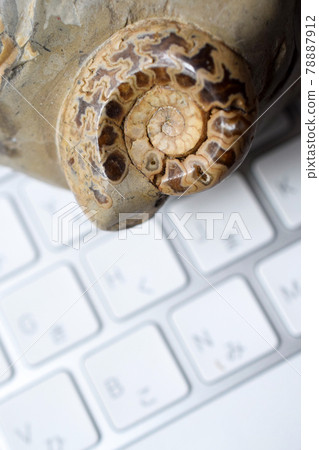 人工智能革命 78887912