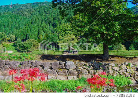 Mr. Asakura Ruins 78888198