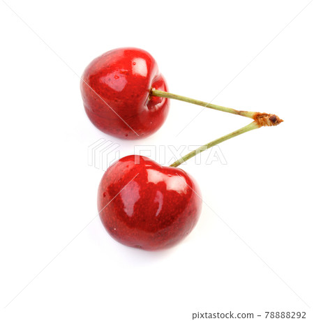 Still life photography 78888292