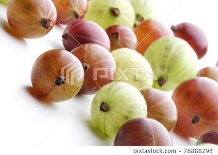 Still life photography 78888293
