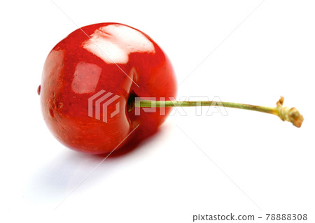 Still life photography 78888308