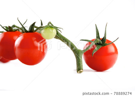 Tomato 78889274