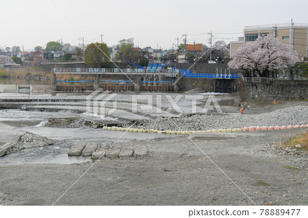 Spring, Hamura City, Tokyo 78889477