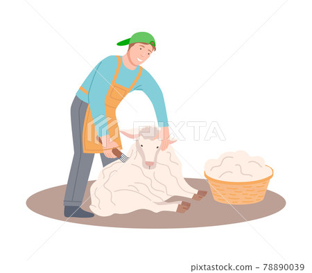 Happy Male Farmer Shearing Sheep and Gathering Wool in Wicker Basket Vector Illustration Happy Male Farmer Shearing Sheep and Gathering Wool in Wicker Basket Vector Illustration 78890039