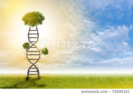 DNA is a natural tree background style. 78890161