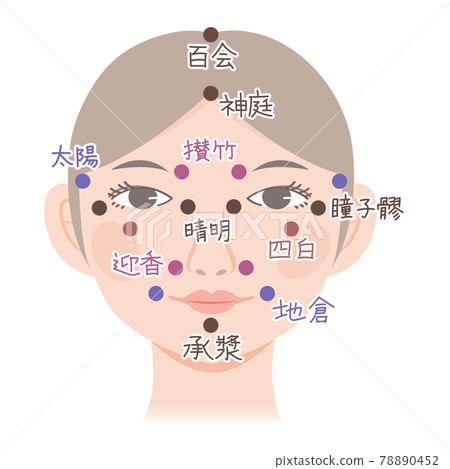 通俗易懂的面部穴位插畫素材,正面,女性用 通俗易懂的面部穴位插畫素材,正面,女性用 78890452