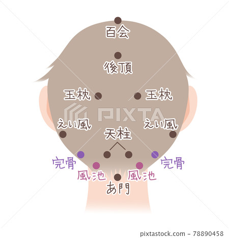 Easy-to-understand illustration material of head acupoints, backwards, for women Easy-to-understand illustration material of head acupoints, backwards, for women 78890458