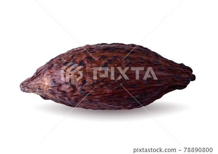 Cocoa pod and beans isolated on a white background. Cocoa pod and beans isolated on a white background. 78890800