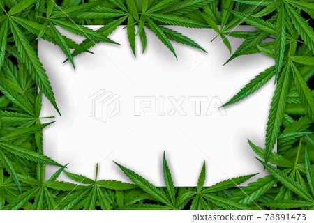 Marijuana leaf illustrations on cannabis Dark background, beautiful background, top corner picture 78891473