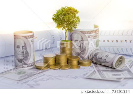 The tree is growing both on the progress of money and financial reports, along with financial accounts, business, investment on the investor's table. Front investment concept The tree is growing both on the progress of money and financial reports, along with financial accounts, business, investment on the investor's table. Front investment concept 78891524