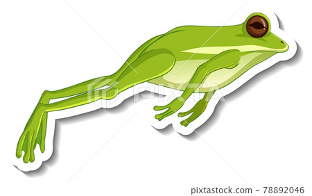 A sticker template with a green frog jumping isolated A sticker template with a green frog jumping isolated 78892046