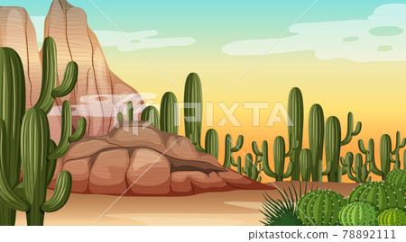 Desert forest landscape at daytime scene with many cactuses Desert forest landscape at daytime scene with many cactuses 78892111