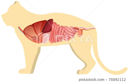 BR_nu_new_10-08.eps BR_nu_new_10-08.eps 78892112