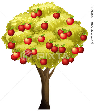 Apple tree isolated on white background - Stock Illustration [78892985 ...