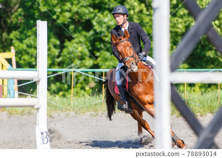 Young man on his course show jumping competition Young man on his course show jumping competition 78893014