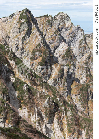 Autumn non-return 78894011