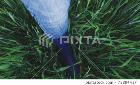 Walking with your feet in rubber boots in a wheat field, farm work in the meadow, business agronomist plots of land, growing wheat grains for bread, garden ranch Walking with your feet in rubber boots in a wheat field, farm work in the meadow, business agronomist plots of land, growing wheat grains for bread, garden ranch 78894417