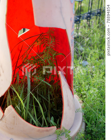 Weeds and broken traffic cones 78894854