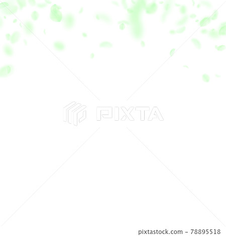 Green flower petals falling down. Decent romantic 78895518