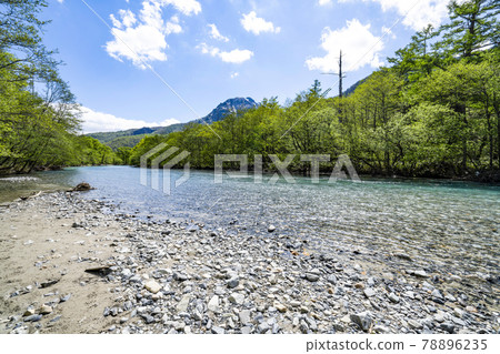春天從上高地梓川河岸眺望野克山 78896235