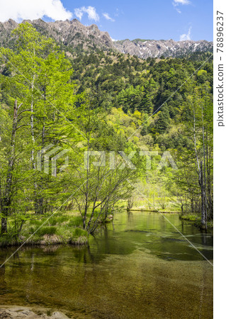 Spring Kamikochi Tashiro Pond 78896237