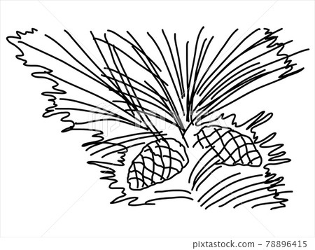 Pine leaf in the doodle style. Hand-drawn silhouette with a fir cone. Botanical vector illustration Pine leaf in the doodle style. Hand-drawn silhouette with a fir cone. Botanical vector illustration 78896415