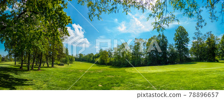 Course of a golf course in Germany, with rows of trees on both sides of the green, landscape 78896657