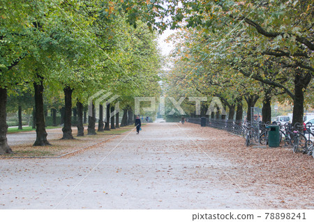 Cityscape of Munich, Bavaria, Germany Cityscape of Munich, Bavaria, Germany 78898241