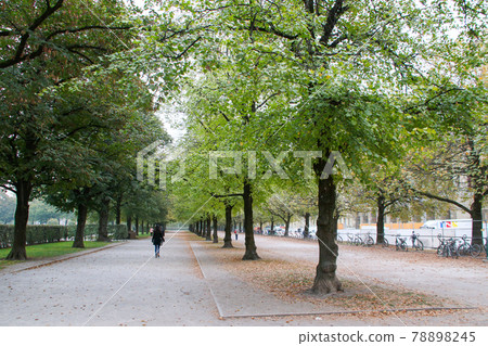 Cityscape of Munich, Bavaria, Germany Cityscape of Munich, Bavaria, Germany 78898245