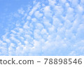 Cirrocumulus under the blue sky 78898546