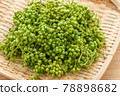 Real Sansho Sansho Fruit 78898682