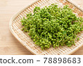 Real Sansho Sansho Fruit 78898683