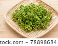 Real Sansho Sansho Fruit 78898684
