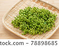 Real Sansho Sansho Fruit 78898685