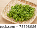 Real Sansho Sansho Fruit 78898686