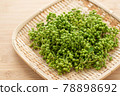 Real Sansho Sansho Fruit 78898692