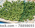 Real Sansho Sansho Fruit Powder Sansho 78898693