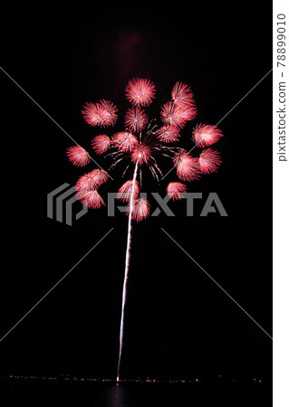 [Fireworks image] Chiwa chrysanthemum. A fireworks display in which many florets bloom all at once. 78899010