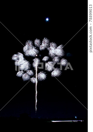 [Fireworks image] Chiwa chrysanthemum. A fireworks display in which many florets bloom all at once. 78899013