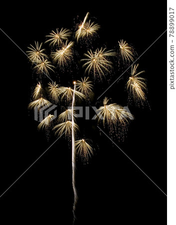 [Fireworks image] Chiwa chrysanthemum. A fireworks display in which many florets bloom all at once. 78899017