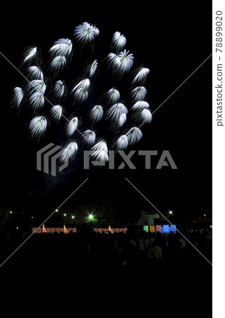 [Fireworks image] Chiwa chrysanthemum. A fireworks display in which many florets bloom all at once. 78899020