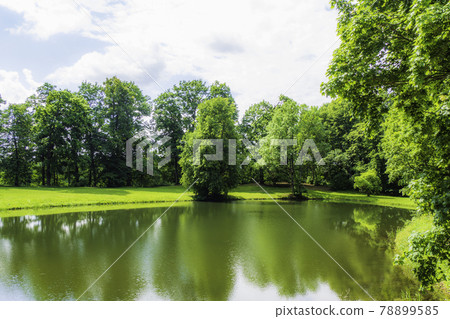 Beautiful Green Park on Cloudy Day with a Pond 78899585