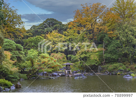 [東京西原] 早秋時節，在古河庭園的枯山水庭園中，一隻在巨大的觀雪石燈籠下避雨的貓。 78899997